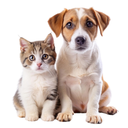 Animal health solutions